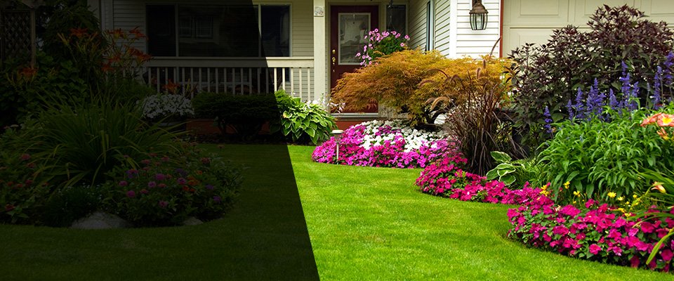 Timberville Landscapers